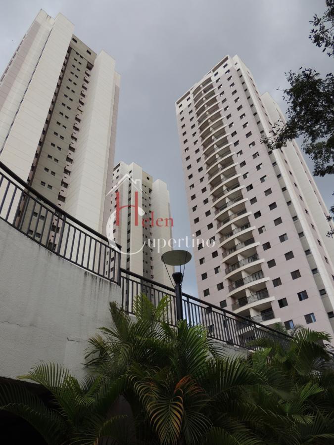 Apartamento à venda com 3 quartos, 77m² - Foto 12