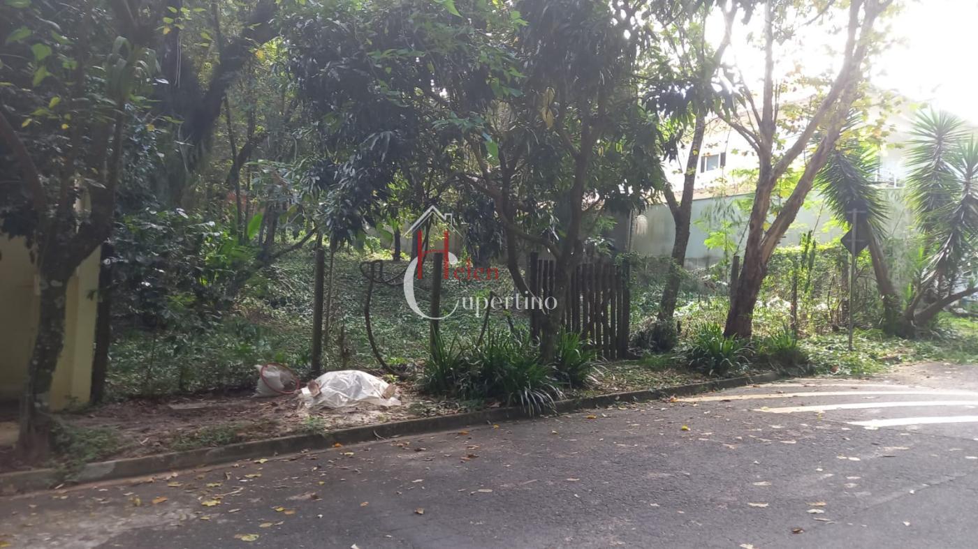 Terreno, 1000 m² - Foto 3